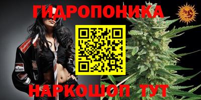 прущая мука Краснокаменск