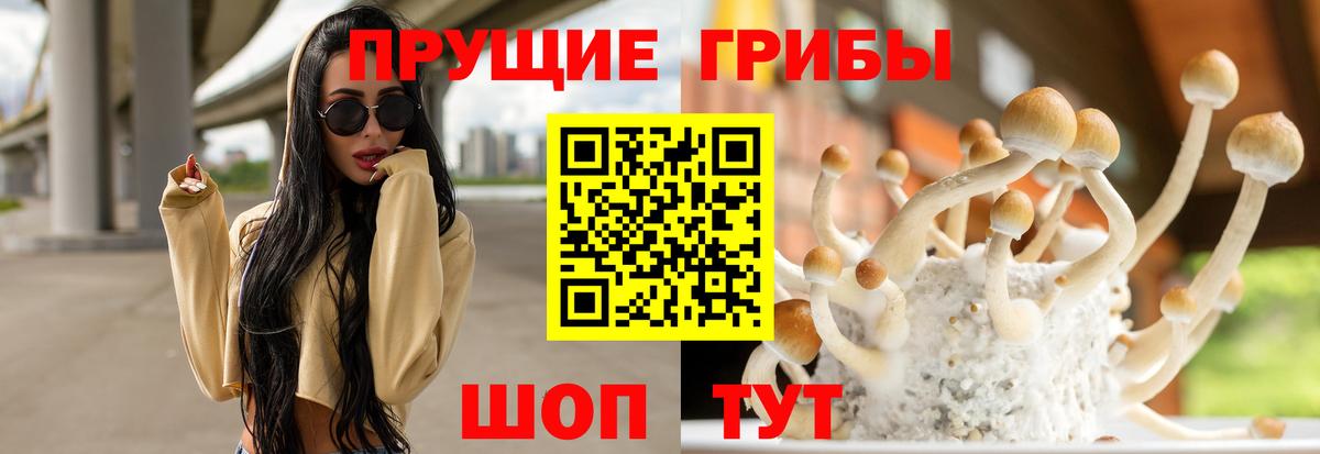 Псилоцибиновые грибы MAGIC MUSHROOMS  Вход с VPN  Кимры 